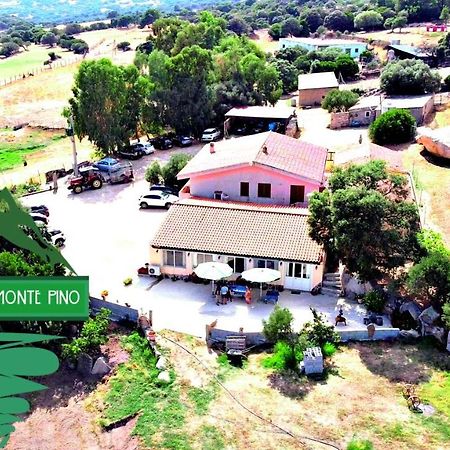 Agriturismo Monte Pino Telti Buitenkant foto
