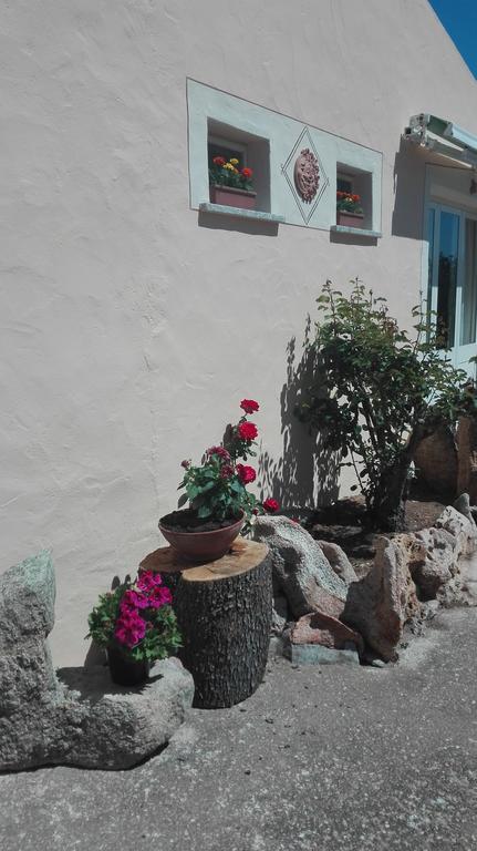 Agriturismo Monte Pino Telti Buitenkant foto