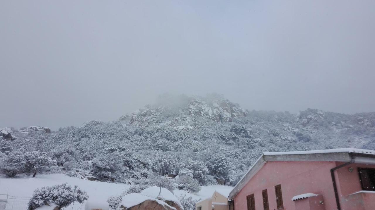Agriturismo Monte Pino Telti Buitenkant foto