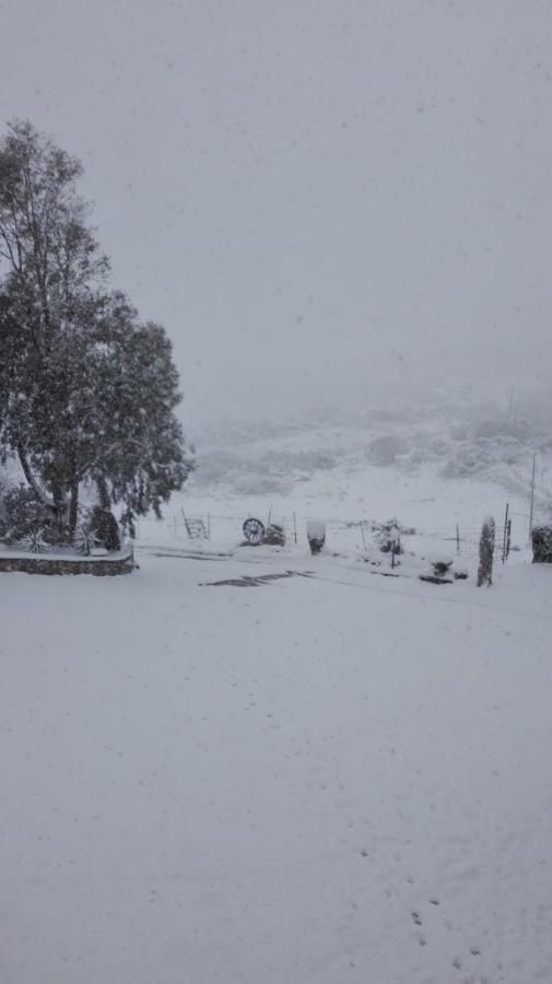 Agriturismo Monte Pino Telti Buitenkant foto