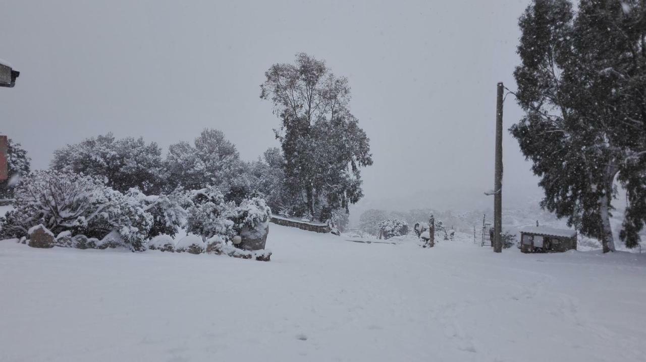 Agriturismo Monte Pino Telti Buitenkant foto
