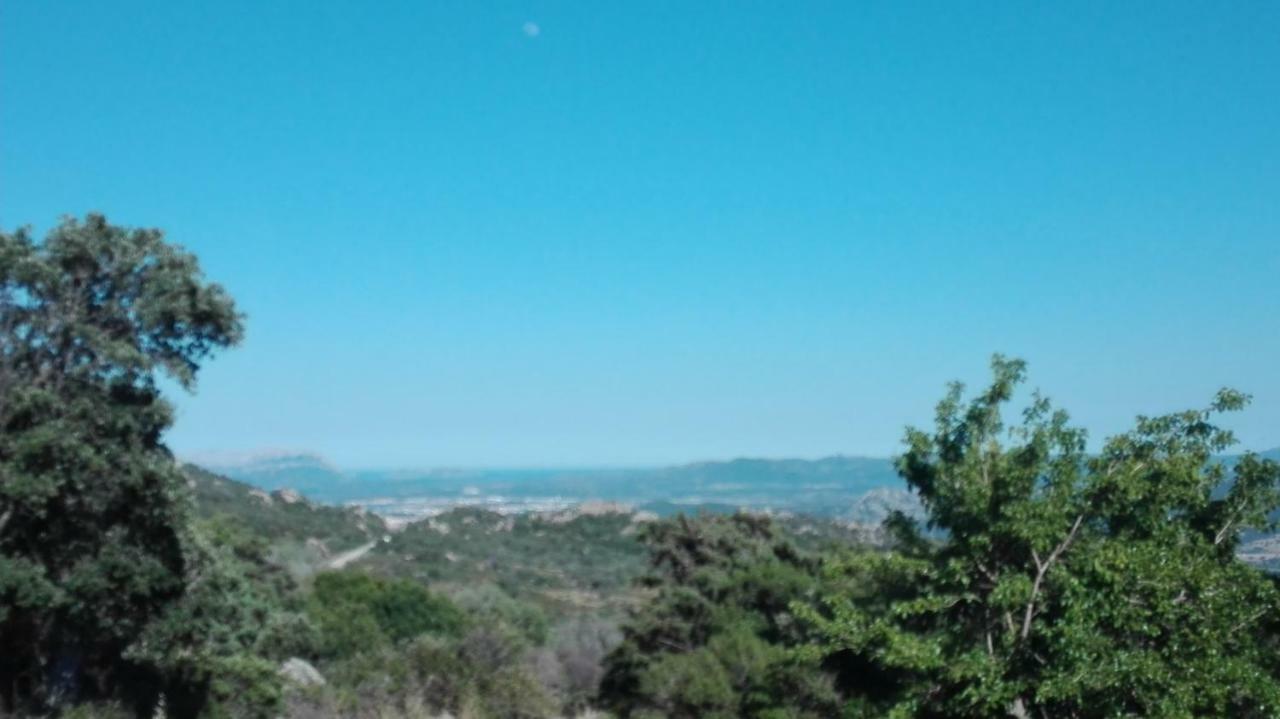Agriturismo Monte Pino Telti Buitenkant foto